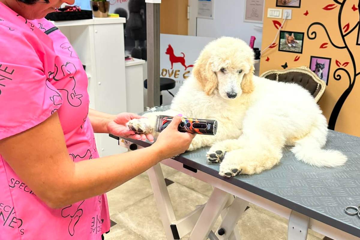 LOVE CANI PETS