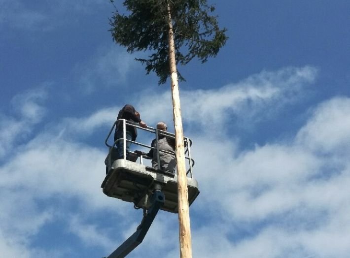 postavljanje mlaja