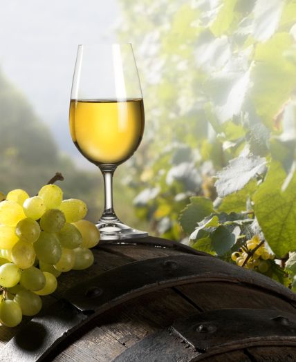 vino na turistični kmetiji v okolici Maribora