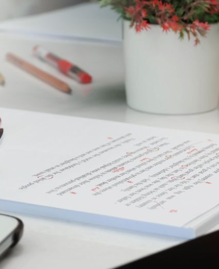 natančno lektoriranje diplome v Ljubljani